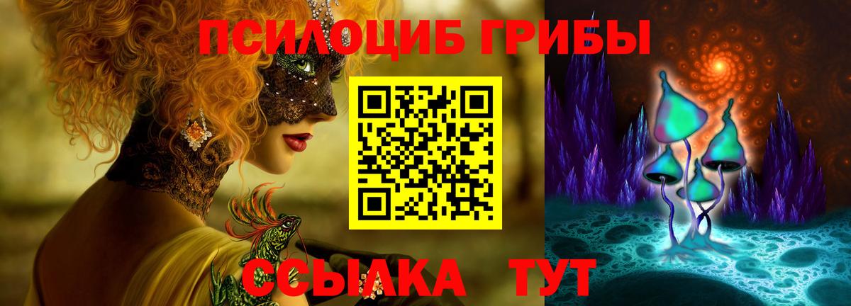 Псилоцибиновые грибы Psilocybine cubensis Ржев
